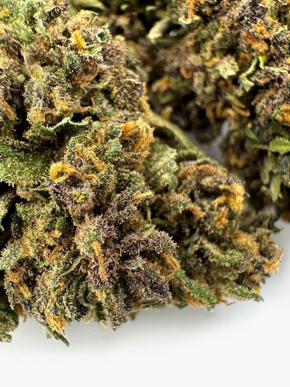 Buy AK‑47 THC Weed In Nottingham