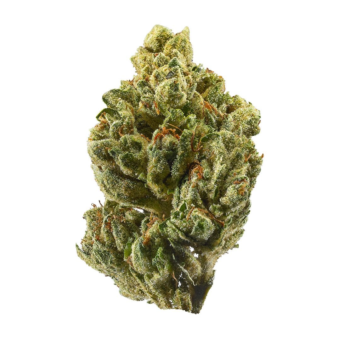 Buy OG Kush Online in Nottingham