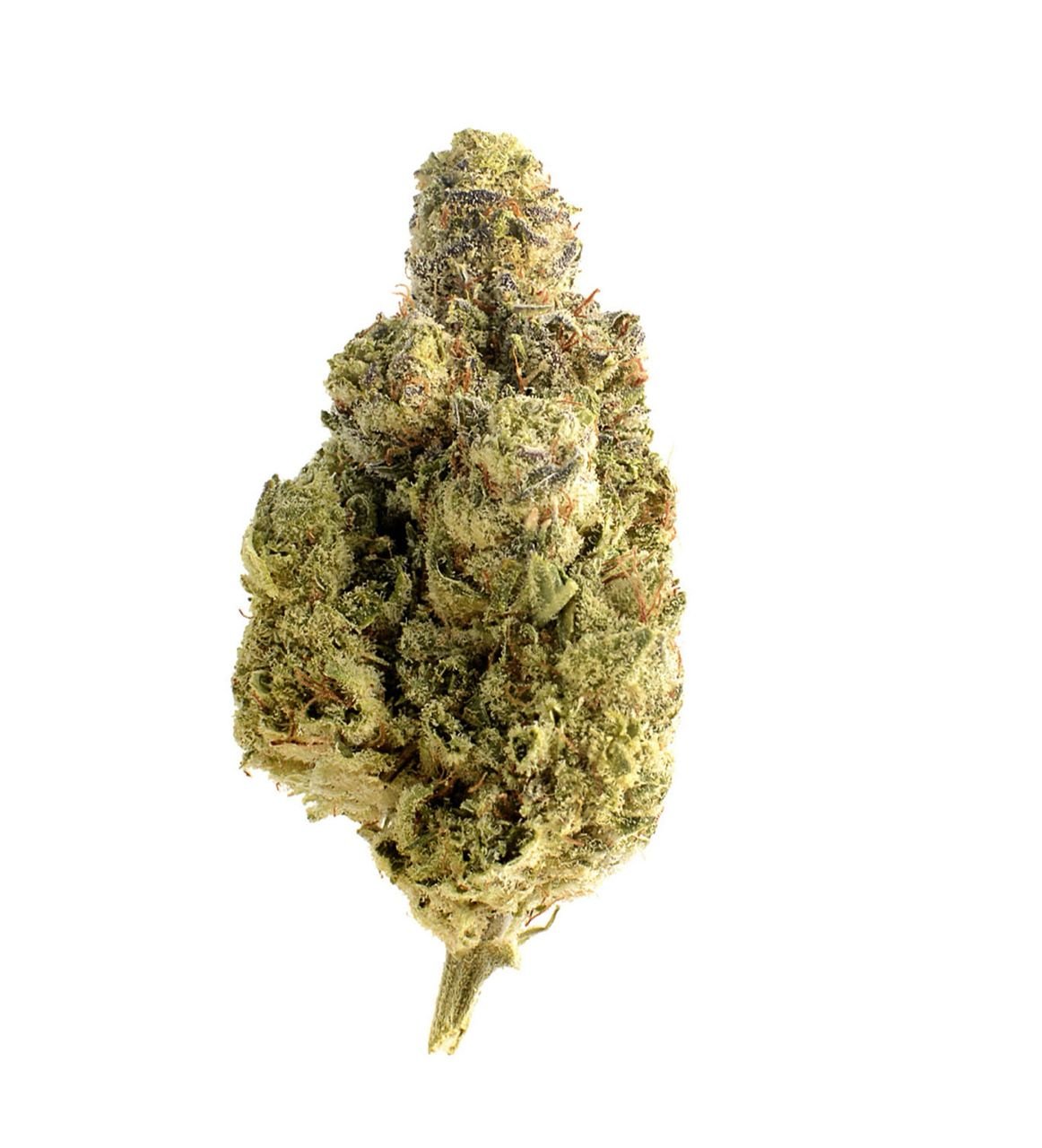 Buy OG Kush Online in Nottingham