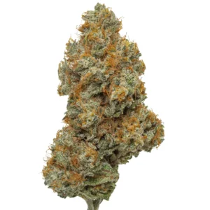Buy Northern Lights THC Weed In Nottingham